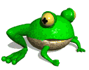 frog picture