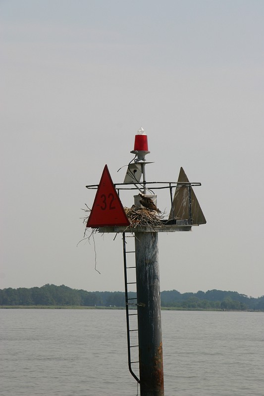 CRW_7903_JFR.JPG - Osprey nest