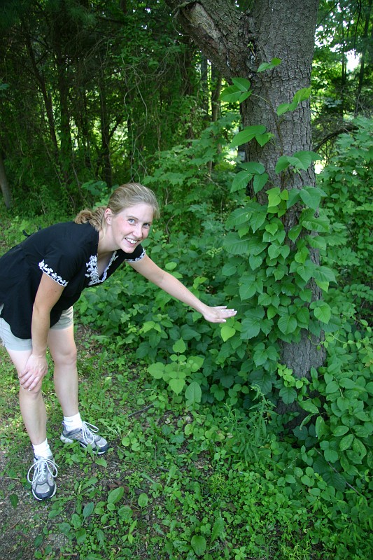 CRW_7970_JFR.JPG - Look at the size of that poison ivy
