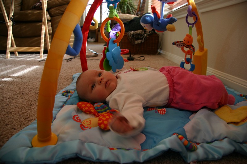 CRW_8843_JFR.JPG