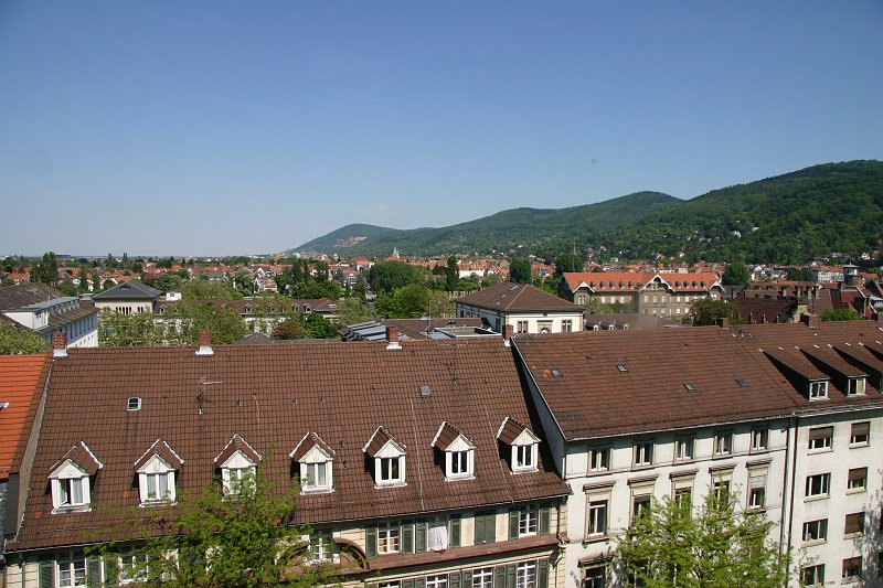 CRW_7387_JFR.JPG - Another view from my room