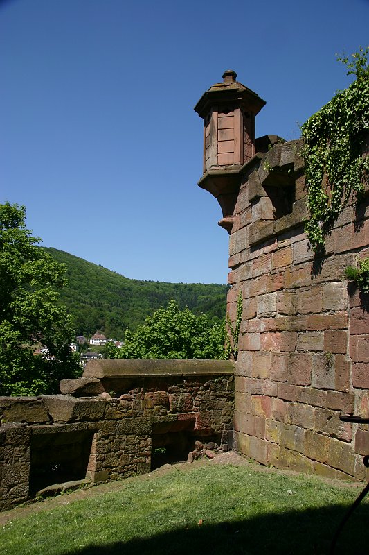 CRW_7409_JFR.JPG - Entering the castle