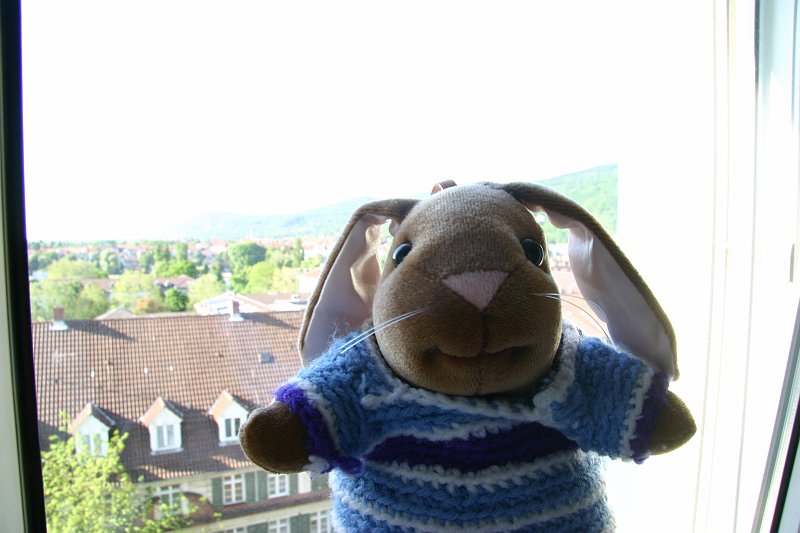 CRW_7465_JFR.JPG - What is a rabbit doing in Germany?