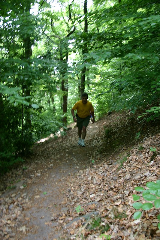 CRW_7628_JFR.JPG - On our way up the mountain