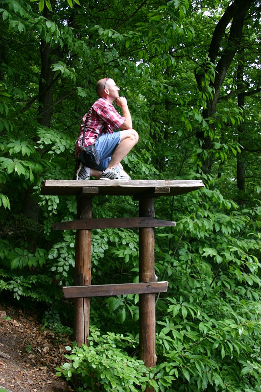 CRW_7630_JFR.JPG - Ray striking a pose