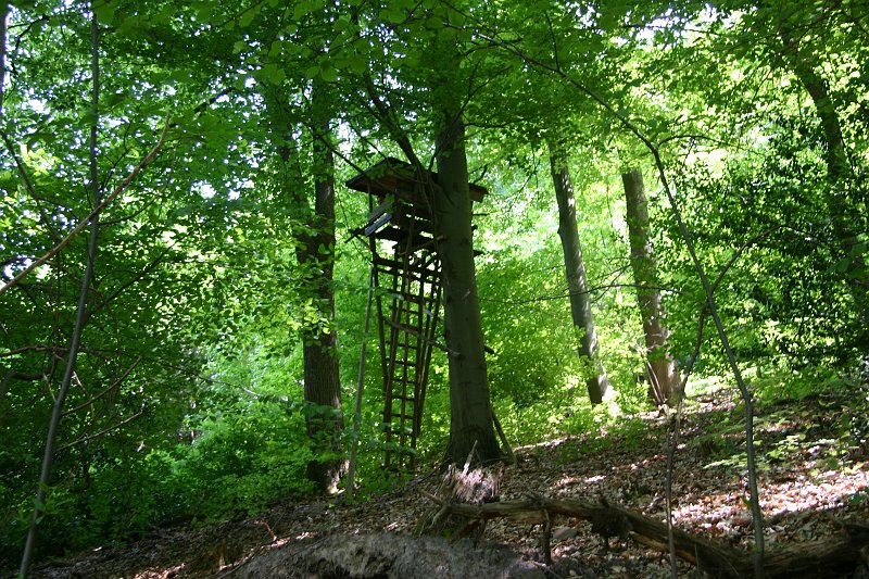CRW_7657_JFR.JPG - A tree stand on the mountain side - you can barely see me inside it.