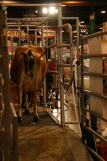 CRW_6958_JFR.JPG