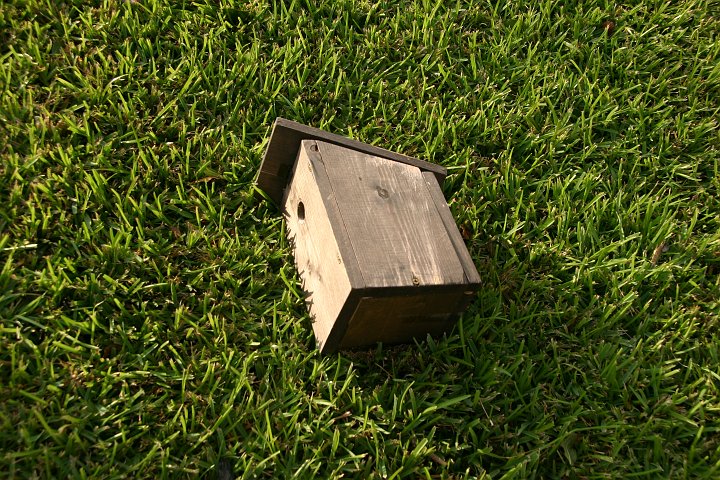 CRW_8399_JFR.JPG - Bird house in the backyard