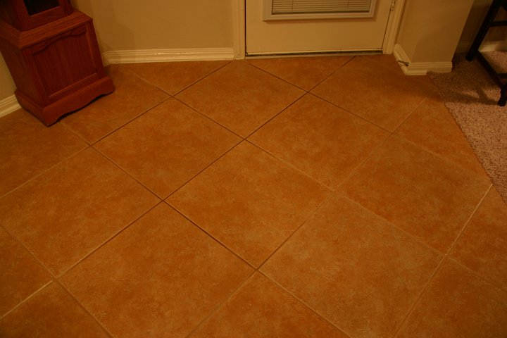 CRW_8450_JFR.JPG - Some water puddled up by the backdoor