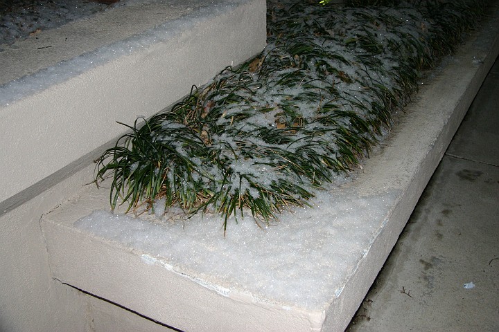 CRW_6686_JFR.JPG - I did see some snow!